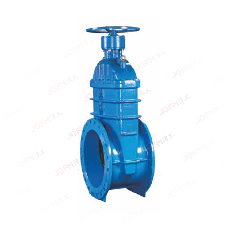 手動(dòng)大口徑閘閥